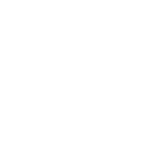 Pulppo